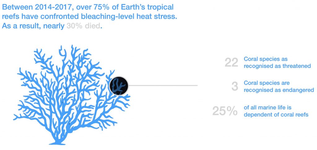 Coral bleaching statistics