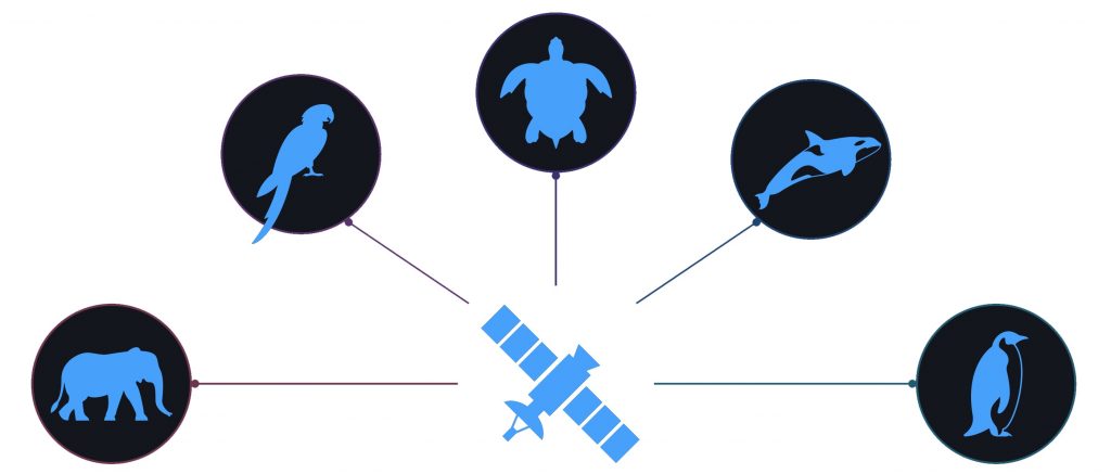 Earth observation statistics