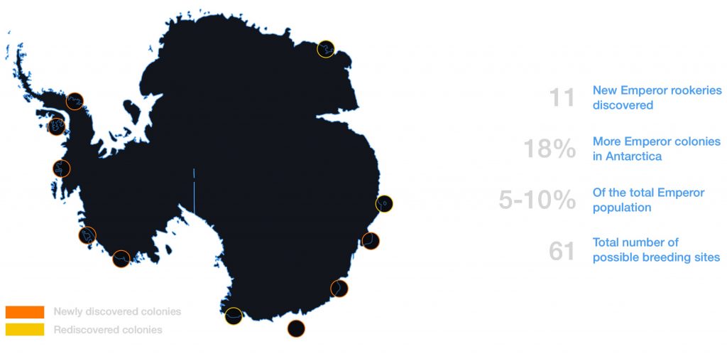 Colonies of emperor penguins