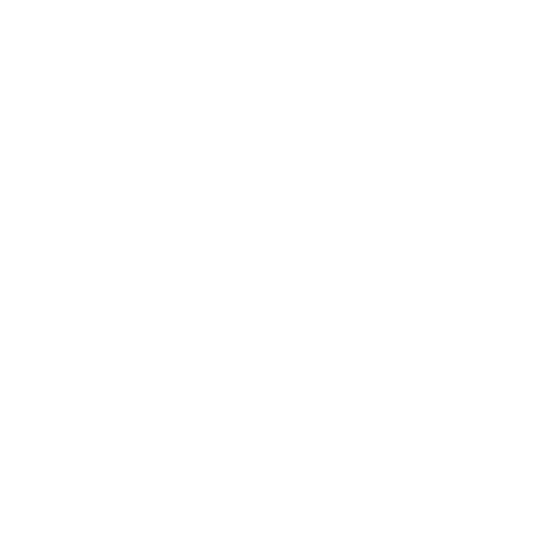 Leif Erikson Award Iceland